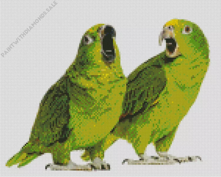 lovely White Fronted Amazon birds Diamond Dotz Lovely White Fronted Amazon Birds Diamond Painting