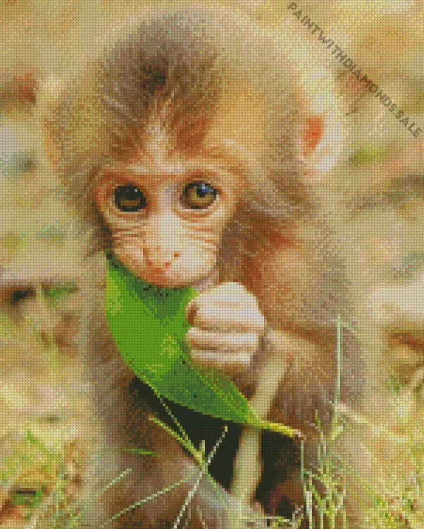 lovely baby Macaque Diamond Dotz Lovely Baby Macaque Diamond Painting