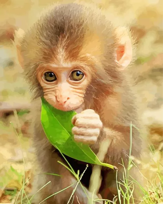 lovely baby Macaque Diamond Paintings Lovely Baby Macaque Diamond Painting