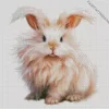Lovely Fluffy Angora Rabbit Diamond Painting