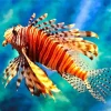 Lovely Orange Lionfish Diamond Painting