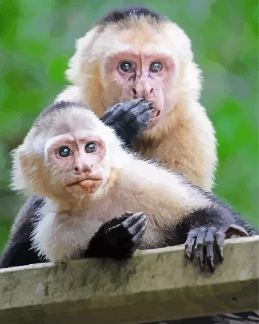 mother Capuchin Monkey and baby Diamond Paintings Mother Capuchin Monkey And Baby Diamond Painting