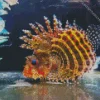 Multicolor Lionfish Diamond Painting