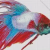Multicolor Siamese Fighting Fish Diamond Painting