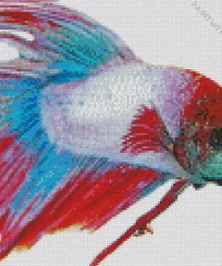 Multicolor Siamese Fighting Fish Diamond Painting