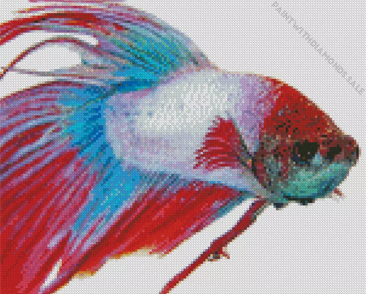 multicolor Siamese fighting fish Diamond Paintings Multicolor Siamese Fighting Fish Diamond Painting