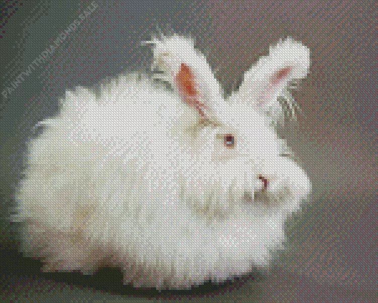 old fluffy Angora rabbit Diamond By Numbers Old Fluffy Angora Rabbit Diamond Painting