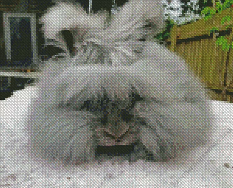 old grey Angora rabbit Diamond By Numbers Old Grey Angora Rabbit Diamond Painting