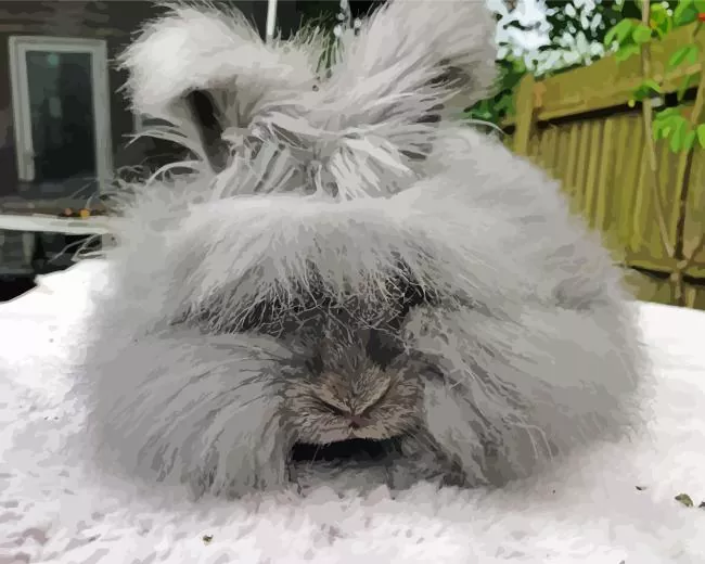 old grey Angora rabbit Diamond Paintings Old Grey Angora Rabbit Diamond Painting