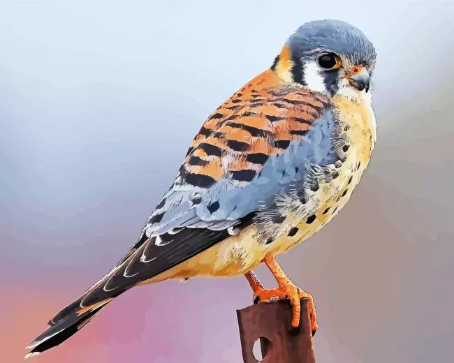 orange American Kestrel bird Diamond By Numbers Orange American Kestrel Bird Diamond Painting