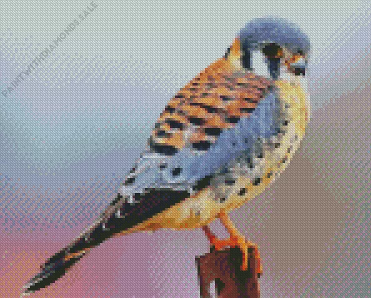 orange American Kestrel bird Diamond Paints Orange American Kestrel Bird Diamond Painting
