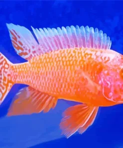 Orange Cichlid Diamond Painting
