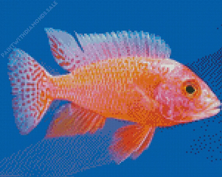 orange Cichlid Diamond With Numbers Orange Cichlid Diamond Painting