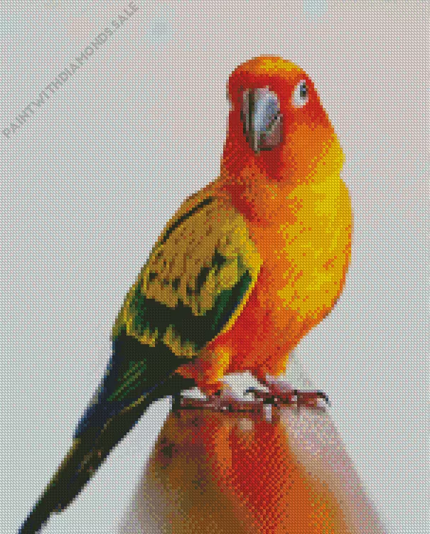 orange Conure Bird Diamond By Numbers Orange Conure Bird Diamond Painting