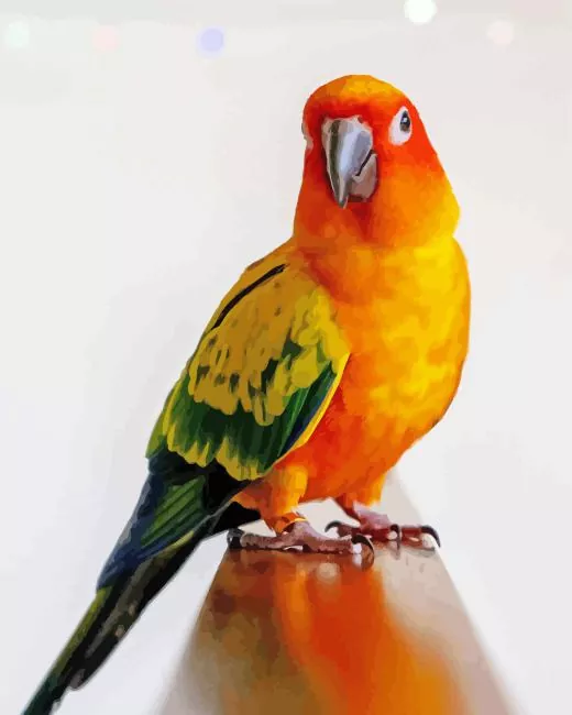 orange Conure Bird Diamond Paints Orange Conure Bird Diamond Painting
