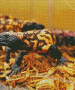 Orange Gila Monster Diamond Painting