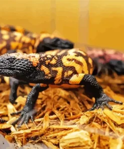 Orange Gila Monster Diamond Painting