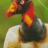 Orange King Vulture Diamond Painting