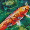 Orange Koi Carp Diamond Painting