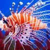 Orange Lionfish Diamond Painting