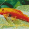 Orange Pleco Fish Diamond Painting