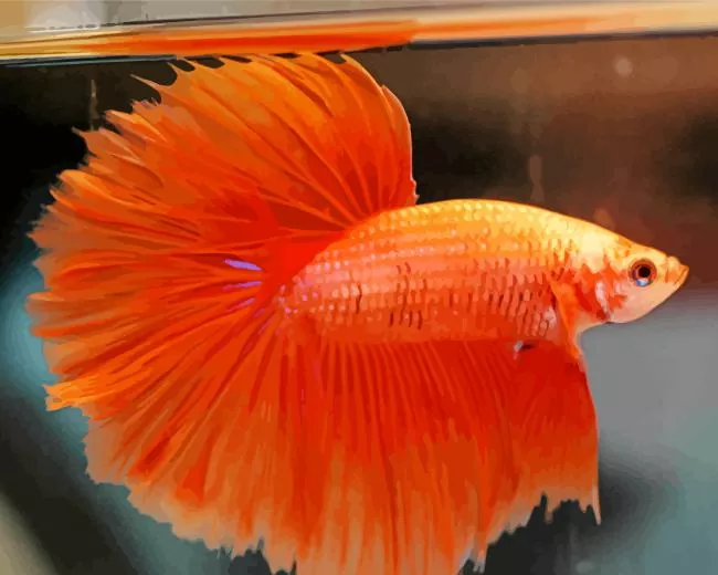 orange Siamese fighting fish Diamond With Numbers Orange Siamese Fighting Fish Diamond Painting