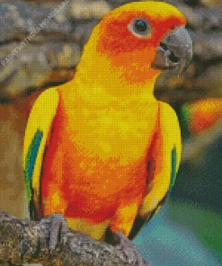 Orange And Green Conure Bird Diamond Painting