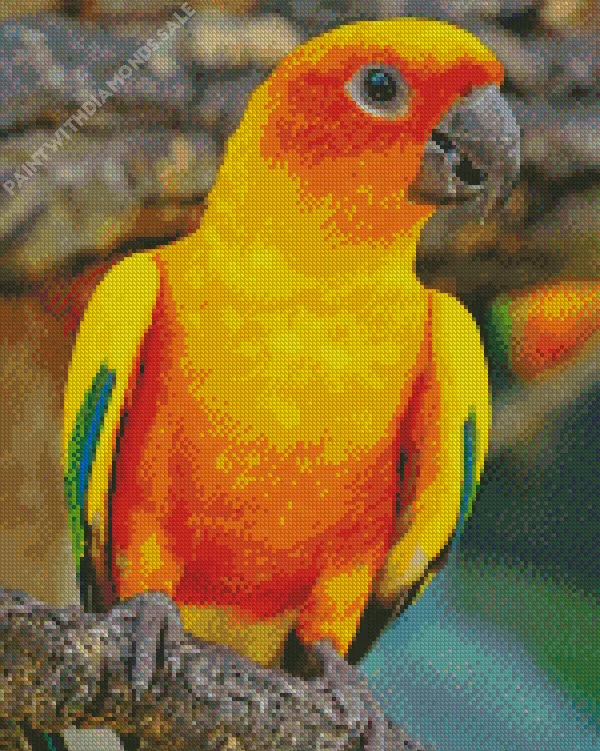 orange and green Conure Bird Diamond By Numbers Orange And Green Conure Bird Diamond Painting