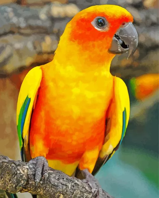 orange and green Conure Bird Diamond Paints Orange And Green Conure Bird Diamond Painting