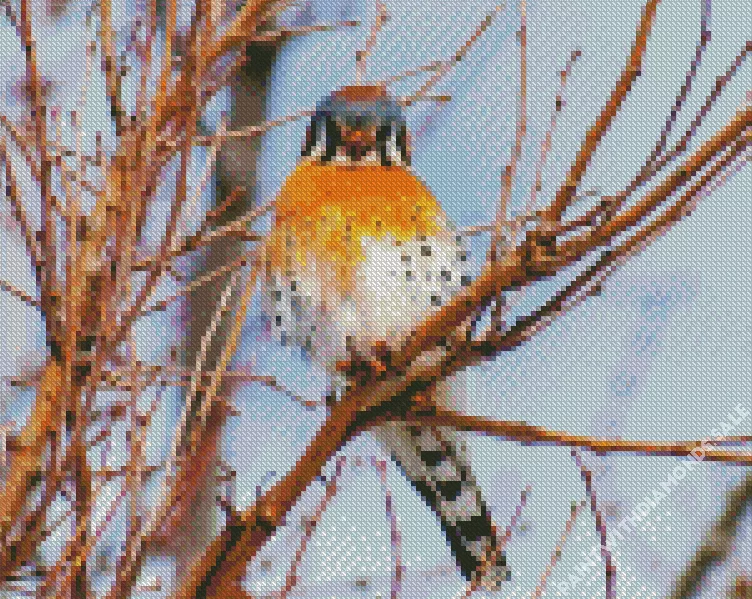 orange and grey American Kestrel Diamond Paints Orange And Grey American Kestrel Diamond Painting