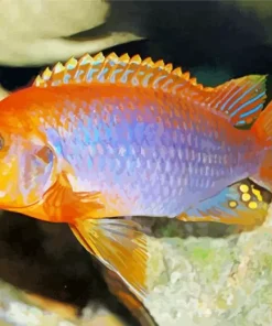 Orange And Purple Cichlid Diamond Painting