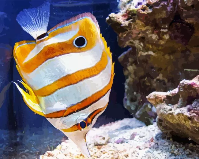 orange and white Copperband Butterflyfish Diamond Paints Orange And White Copperband Butterflyfish Diamond Painting