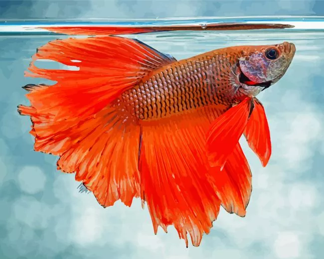 orange betta fish Diamond With Numbers Orange Betta Fish Diamond Painting