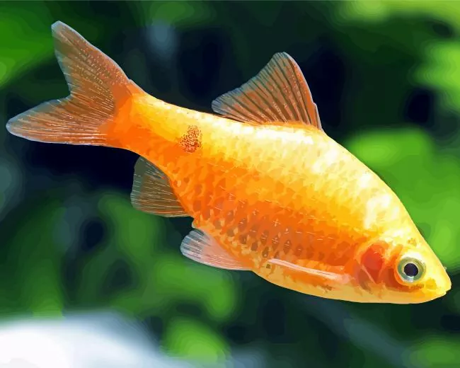 orange lovely Tropical Fish Diamond Paints Orange Lovely Tropical Fish Diamond Painting