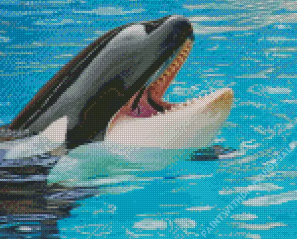 orca fish Diamond Paintings Orca Fish Diamond Painting