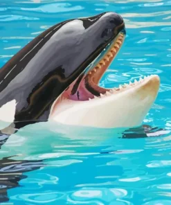 Orca Fish Diamond Painting