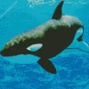 Orca Fish Art Diamond Painting