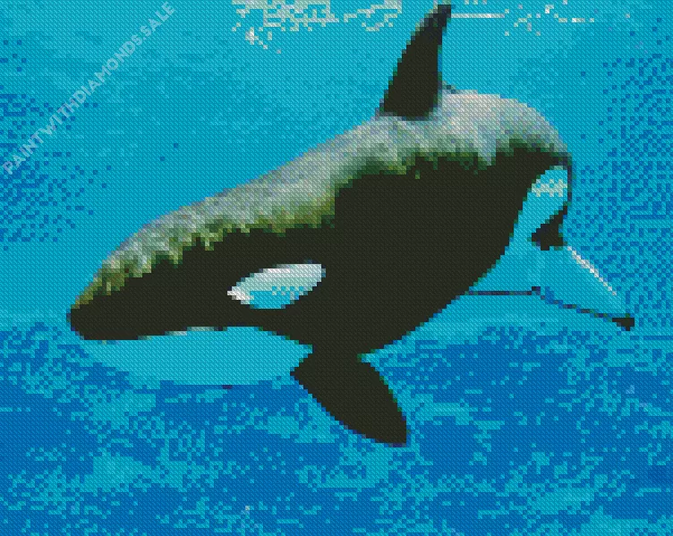 orca fish art Diamond Paintings Orca Fish Art Diamond Painting