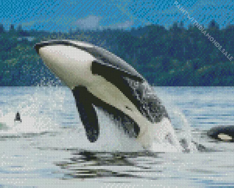 orca jumping out of the sea Diamond Paintings Orca Jumping Out Of The Sea Diamond Painting