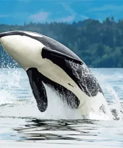 Orca Jumping Out Of The Sea Diamond Painting