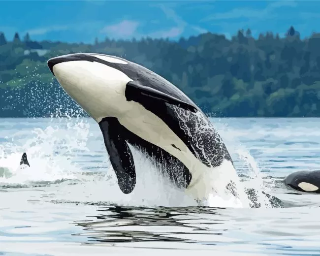 orca jumping out of the sea Diamond With Numbers Orca Jumping Out Of The Sea Diamond Painting