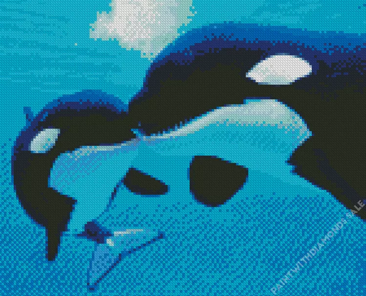 orcas whales Diamond Paintings Orcas Whales Diamond Painting