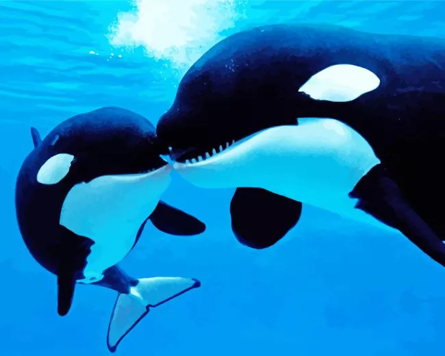 orcas whales Diamond With Numbers Orcas Whales Diamond Painting