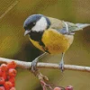 Parus Bird On Branch With Red Berries Diamond Painting