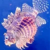 Pink Lionfish Diamond Painting
