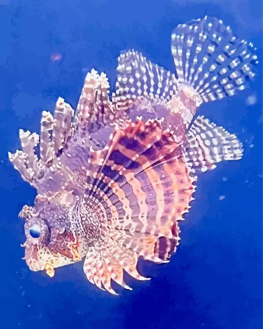 pink Lionfish Diamond With Numbers Pink Lionfish Diamond Painting