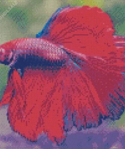 Pink Siamese Fighting Fish Diamond Painting