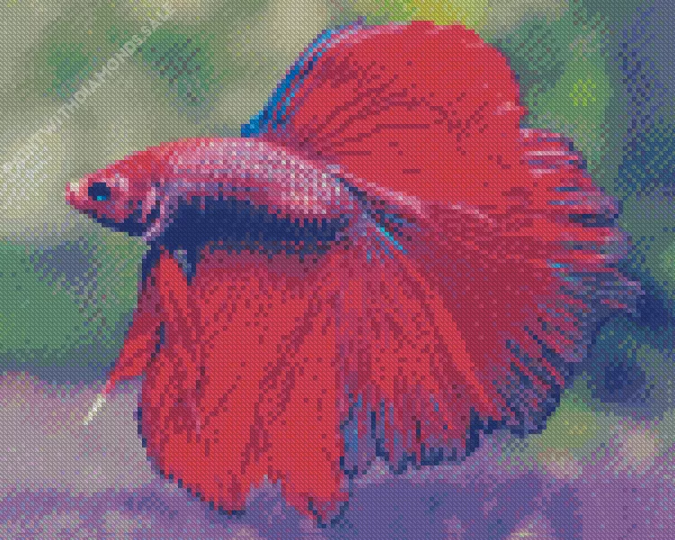 pink Siamese fighting fish Diamond Paintings Pink Siamese Fighting Fish Diamond Painting