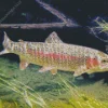 Pink Trout Fish Diamond Painting