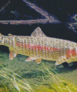 Pink Trout Fish Diamond Painting
